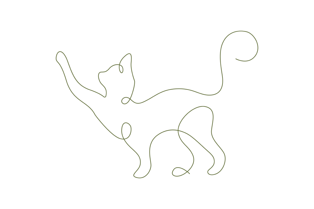 Green outlined illustration of a standing cat.